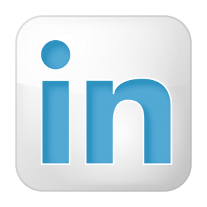 linkedin nederlanders