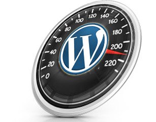 wordpress website sneller 2