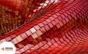 Doneren met WordPress Social Pepper