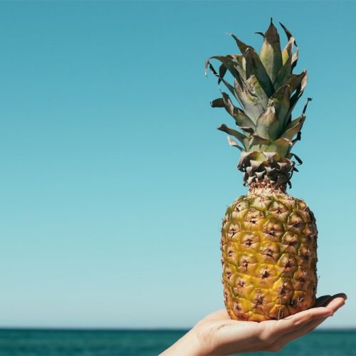 wordpress website trends in 2021